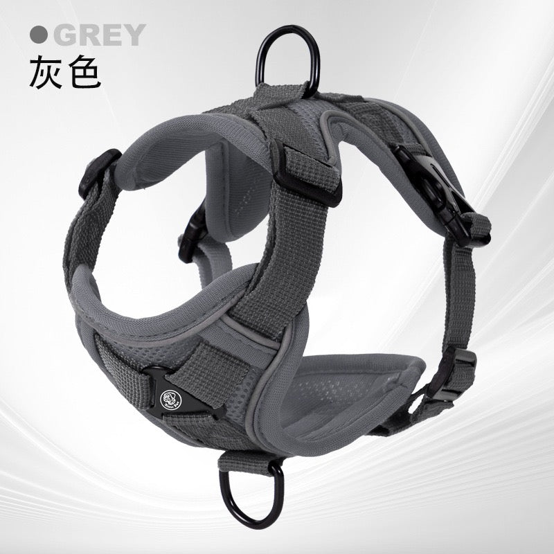 No-Pull Pet Harness – Soft Padded Mesh Harness for Cats & Small Dogs