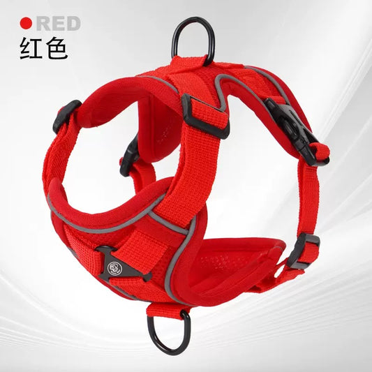 No-Pull Pet Harness – Soft Padded Mesh Harness for Cats & Small Dogs