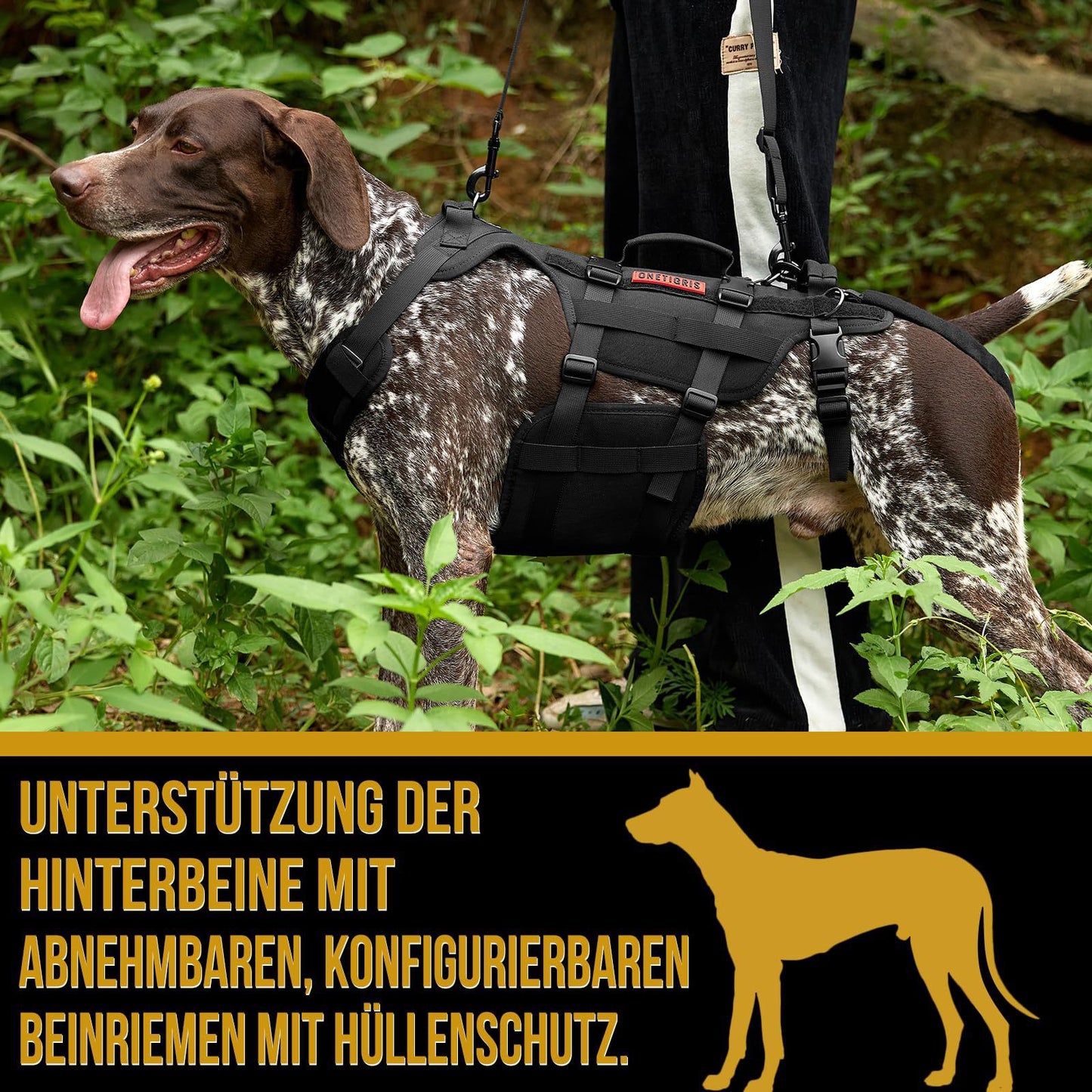 Tactical MOLLE Dog Harness – Heavy-Duty No-Pull Harness for Large Dogs