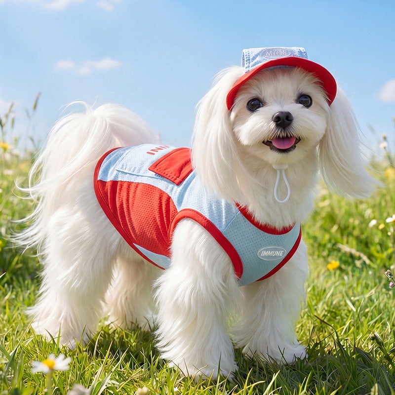 Summer Dog Cooling Vest with Sun Hat, Breathable Mesh Dog T-Shirt for Small Dogs, Cute Sporty Two-Piece Outfit for Maltese Bichon Frise Teddy, Red Blue Color Block Pet Clothes