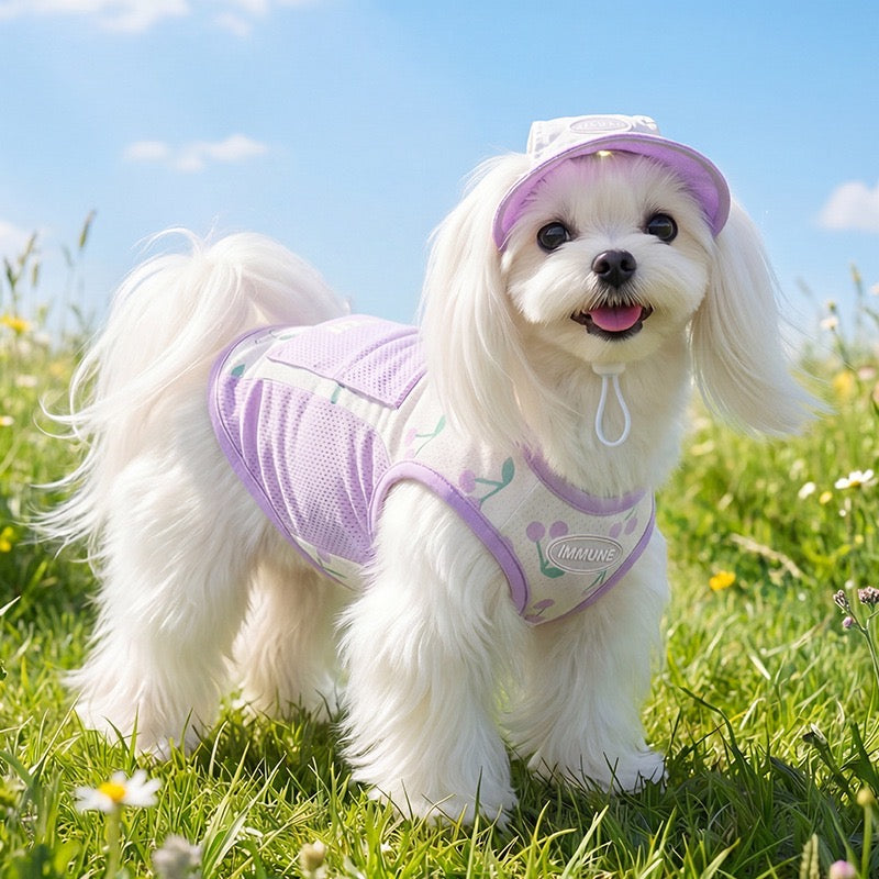Summer Dog Cooling Vest with Sun Hat, Breathable Mesh Dog T-Shirt for Small Dogs, Cute Sporty Two-Piece Outfit for Maltese Bichon Frise Teddy, Red Blue Color Block Pet Clothes