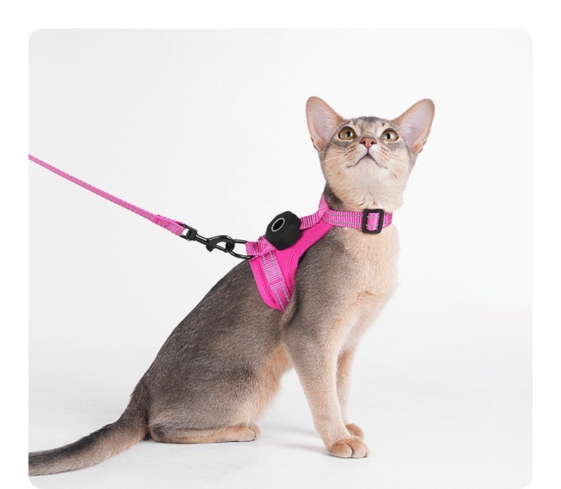 AirTag-Compatible Escape-Proof Cat Harness & Leash Set