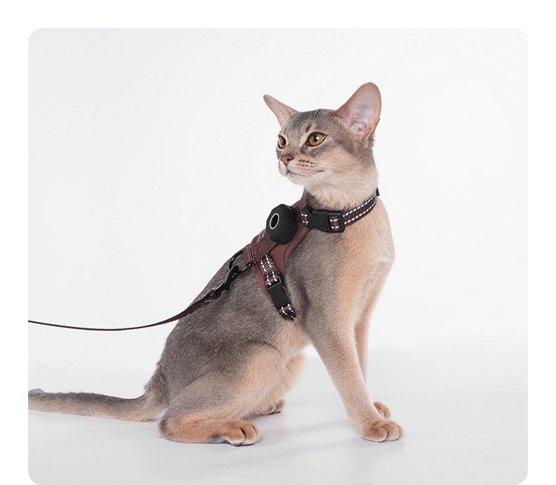AirTag-Compatible Escape-Proof Cat Harness & Leash Set
