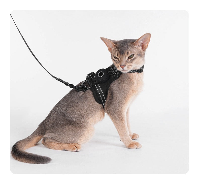 AirTag-Compatible Escape-Proof Cat Harness & Leash Set
