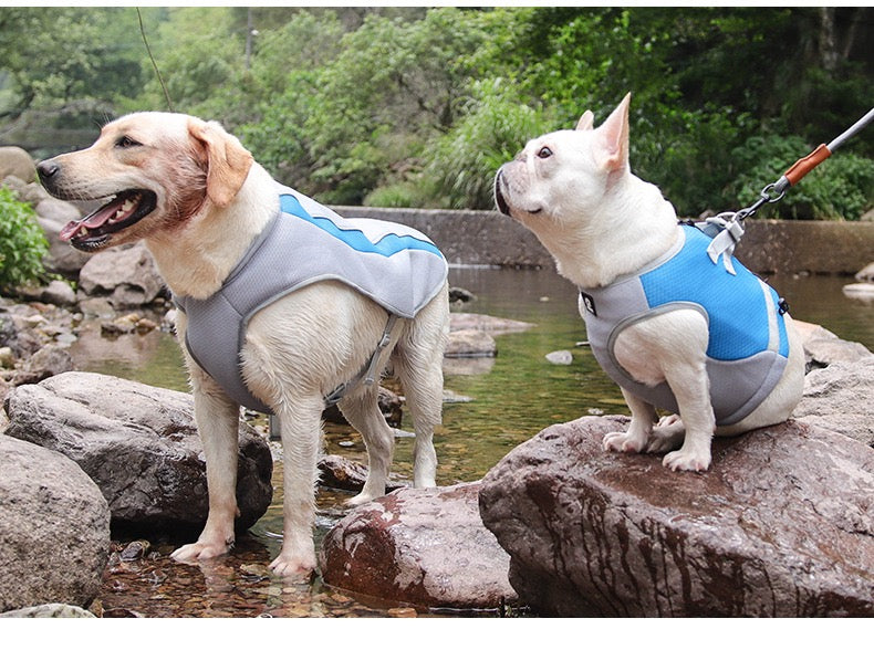 Cooling Dog Vest with UPF 50+ Sun Protection
