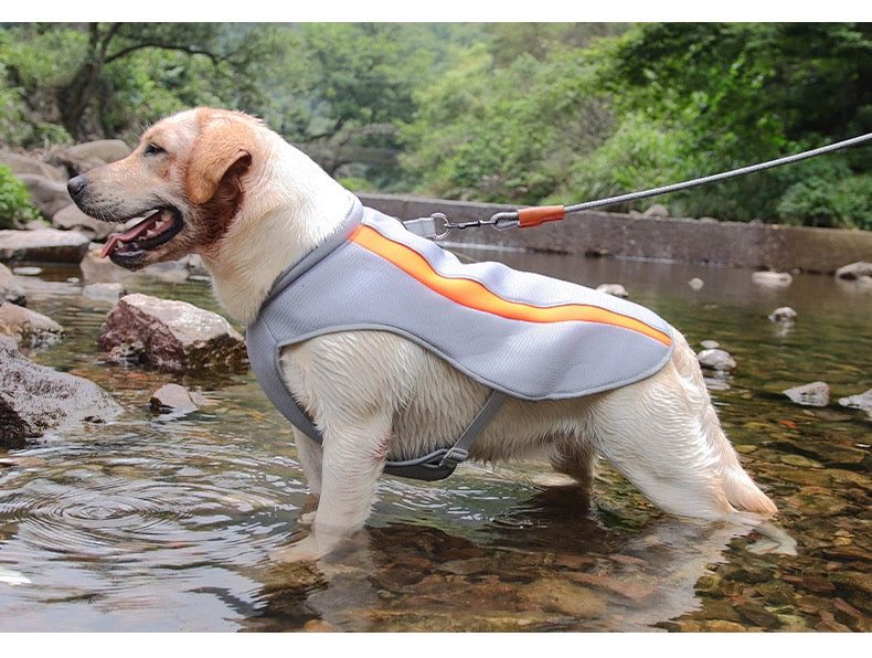 Cooling Dog Vest with UPF 50+ Sun Protection