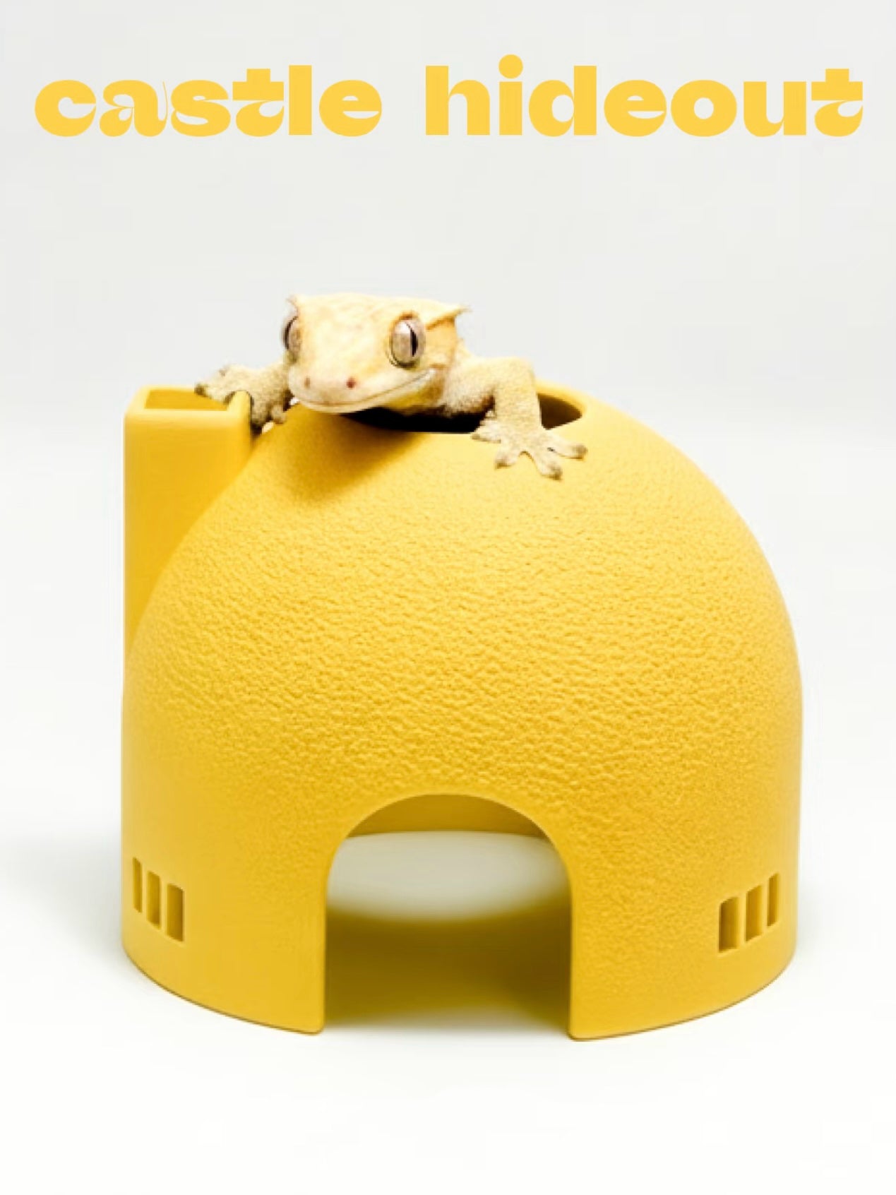 Fantasy Castle Hideout for Reptiles