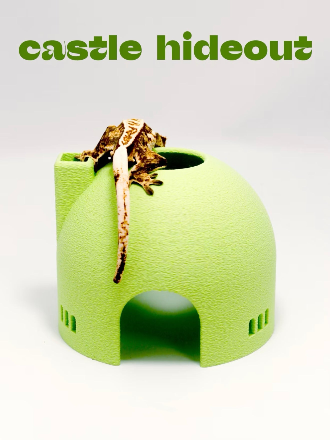 Fantasy Castle Hideout for Reptiles